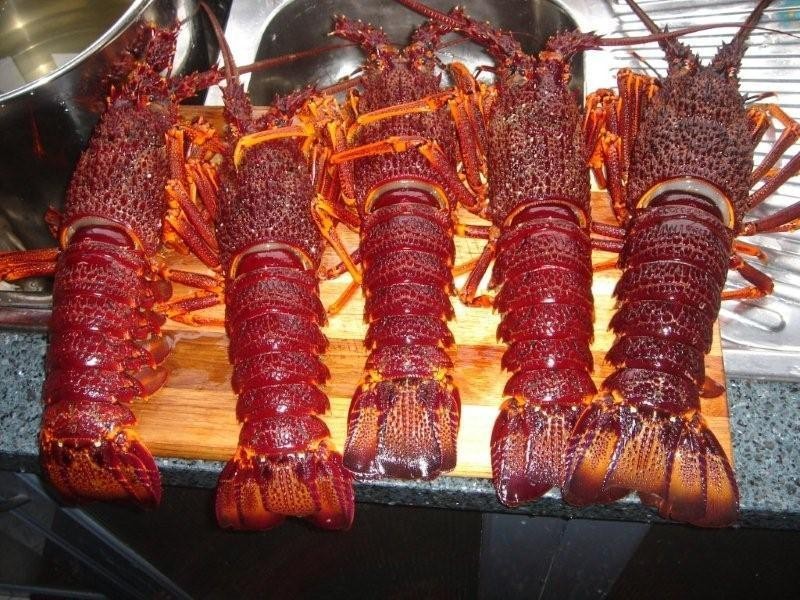 2-4 Hawks Lane, Eaglehawk Neck TAS 7179