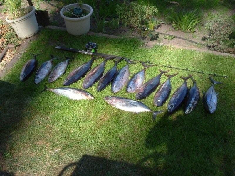 2-4 Hawks Lane, Eaglehawk Neck TAS 7179