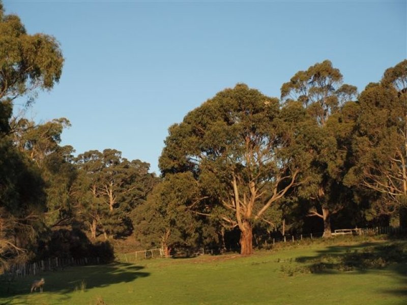 724 Nubeena Rd, Koonya TAS 7187