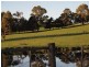 724 Nubeena Rd, Koonya TAS 7187