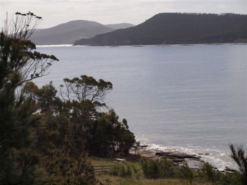 546 White Beach Rd, White Beach TAS 7184