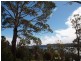 546 White Beach Rd, White Beach TAS 7184