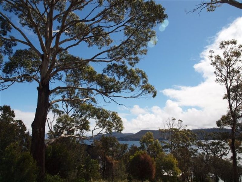 546 White Beach Rd, White Beach TAS 7184