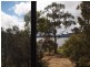 546 White Beach Rd, White Beach TAS 7184