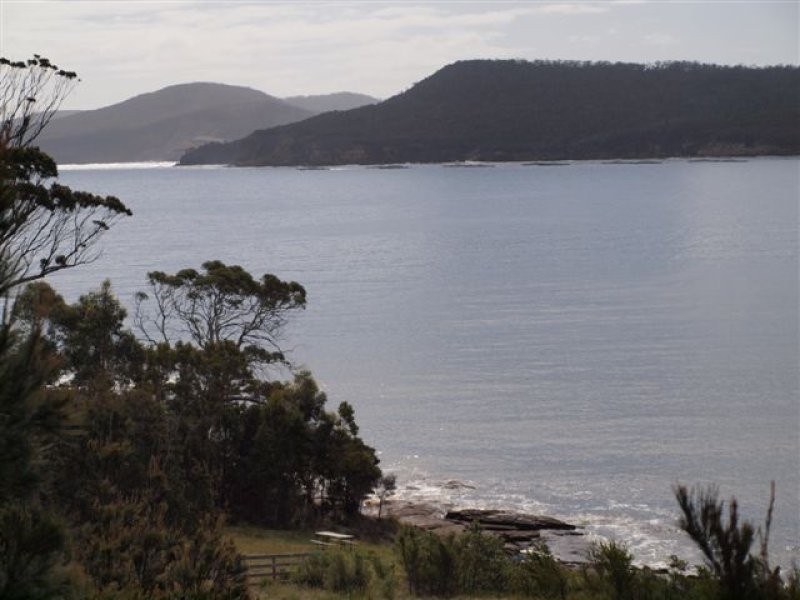 546 White Beach Rd, White Beach TAS 7184