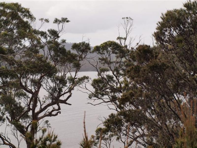 546 White Beach Rd, White Beach TAS 7184