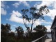 546 White Beach Rd, White Beach TAS 7184
