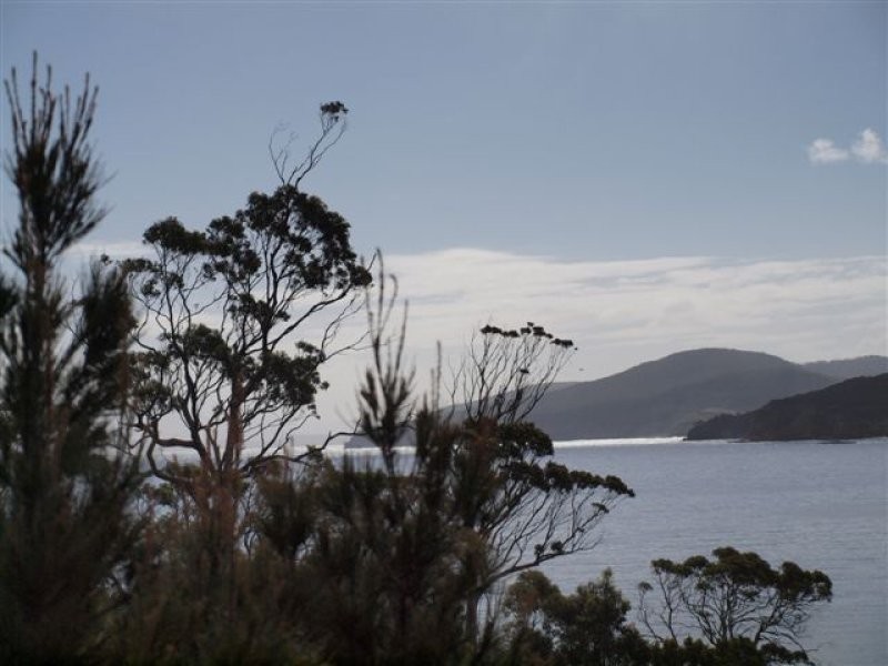 546 White Beach Rd, White Beach TAS 7184