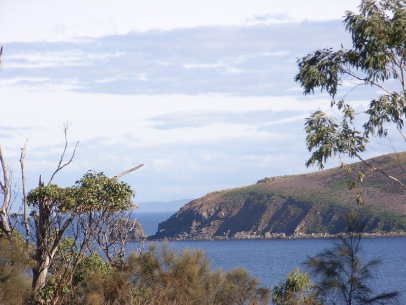Lot 1 Skeggs Avenue, White Beach TAS 7184
