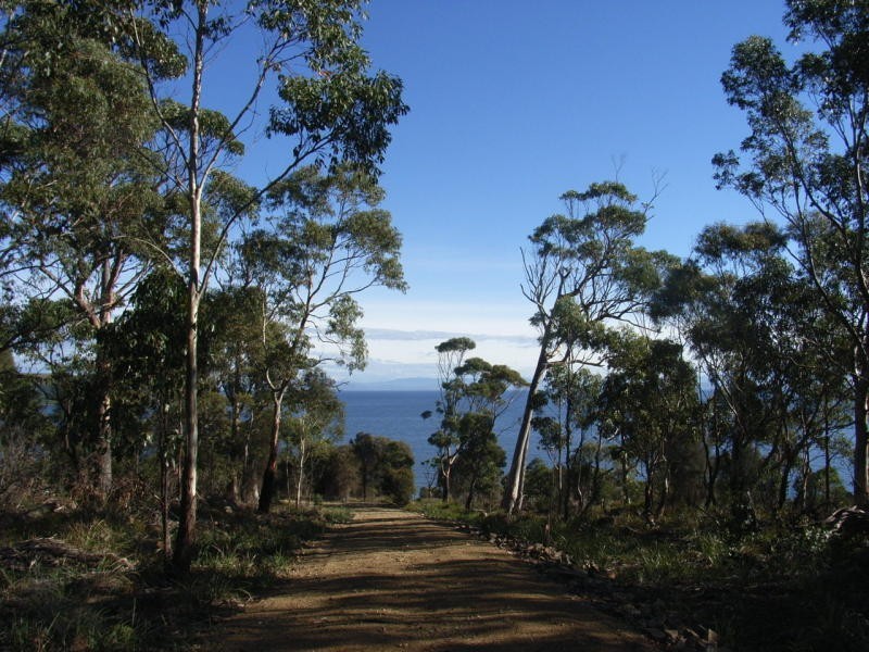 Lot 1 Skeggs Avenue, White Beach TAS 7184