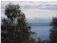Lot 1 Skeggs Avenue, White Beach TAS 7184