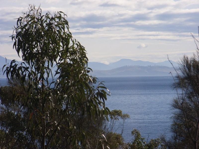 Lot 1 Skeggs Avenue, White Beach TAS 7184