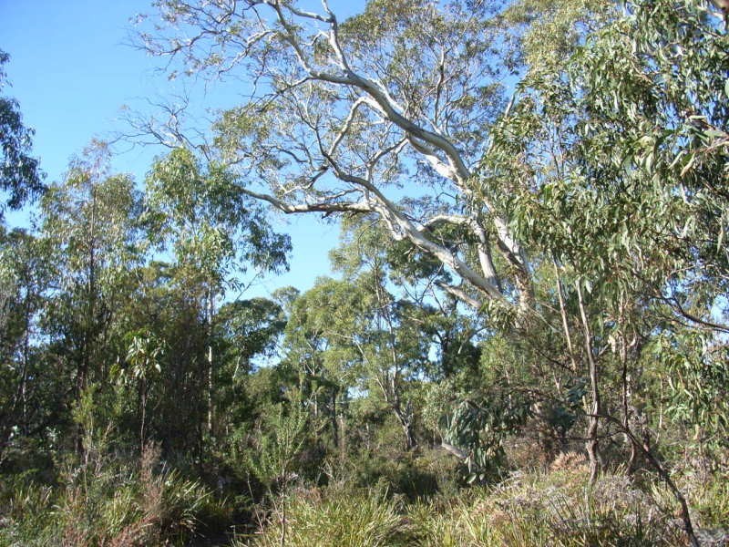 Lot 1 Skeggs Avenue, White Beach TAS 7184