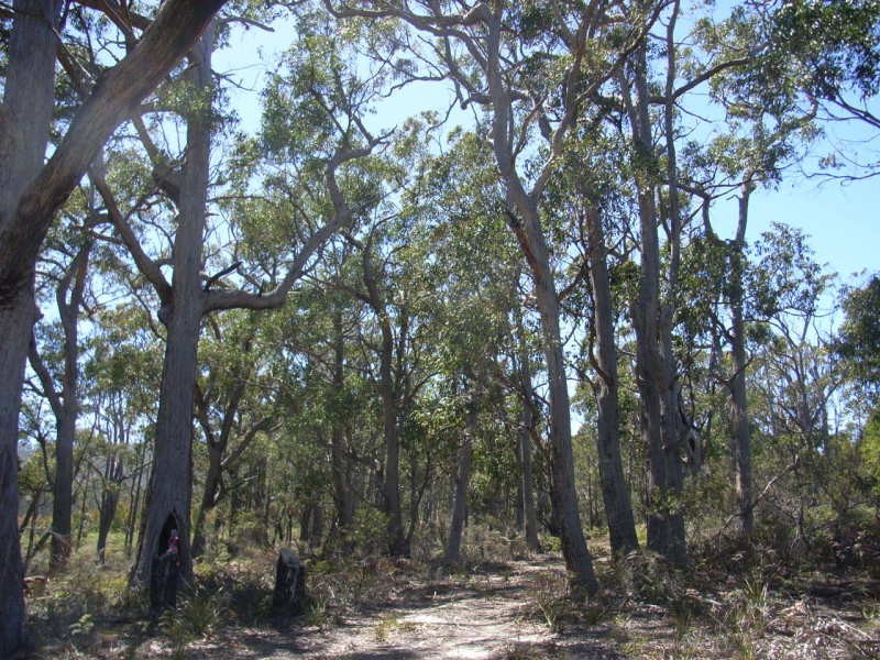 Lot 1 Roaring Beach Road, Nubeena TAS 7184
