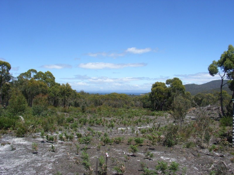 Lot 1 Roaring Beach Road, Nubeena TAS 7184