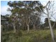 209-221 Arthur Highway, Dunalley TAS 7177