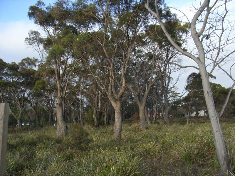 209-221 Arthur Highway, Dunalley TAS 7177