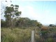 209-221 Arthur Highway, Dunalley TAS 7177