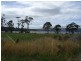 6 Safety Cove Road, Port Arthur TAS 7182