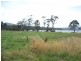 6 Safety Cove Road, Port Arthur TAS 7182