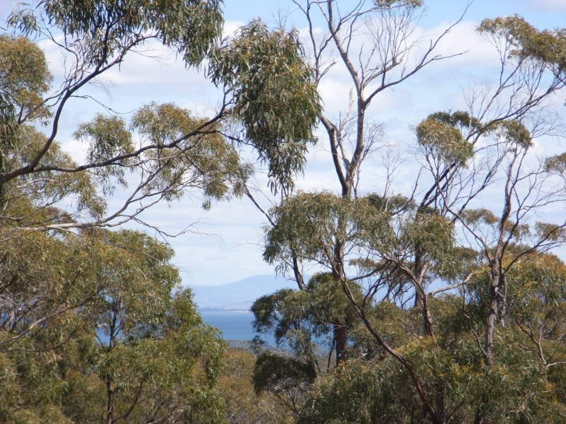 15 Gwandalan Road, Saltwater River TAS 7186