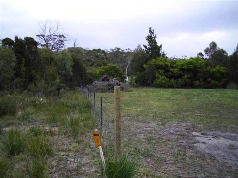 46 Skeggs Avenue, White Beach TAS 7184