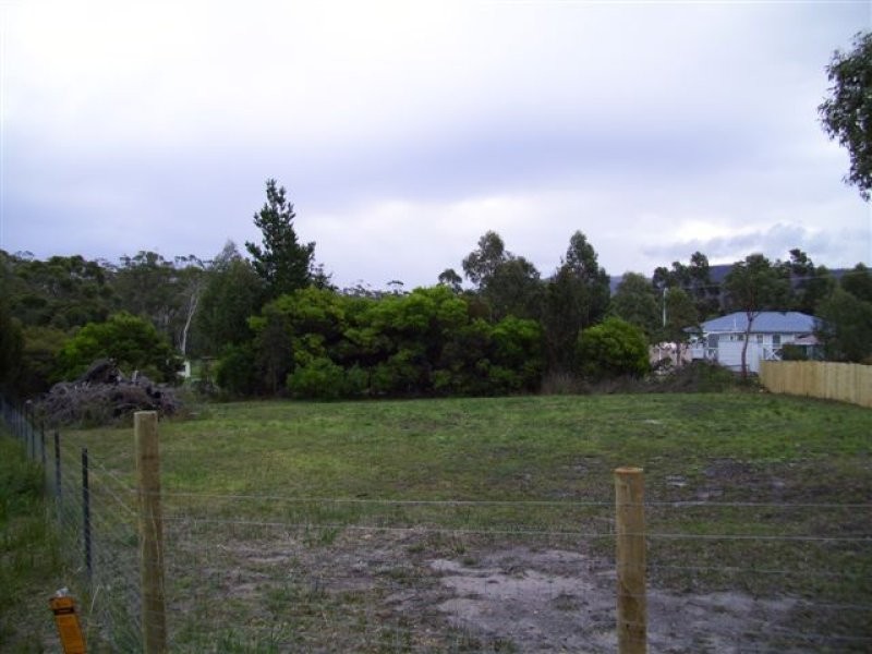 46 Skeggs Avenue, White Beach TAS 7184