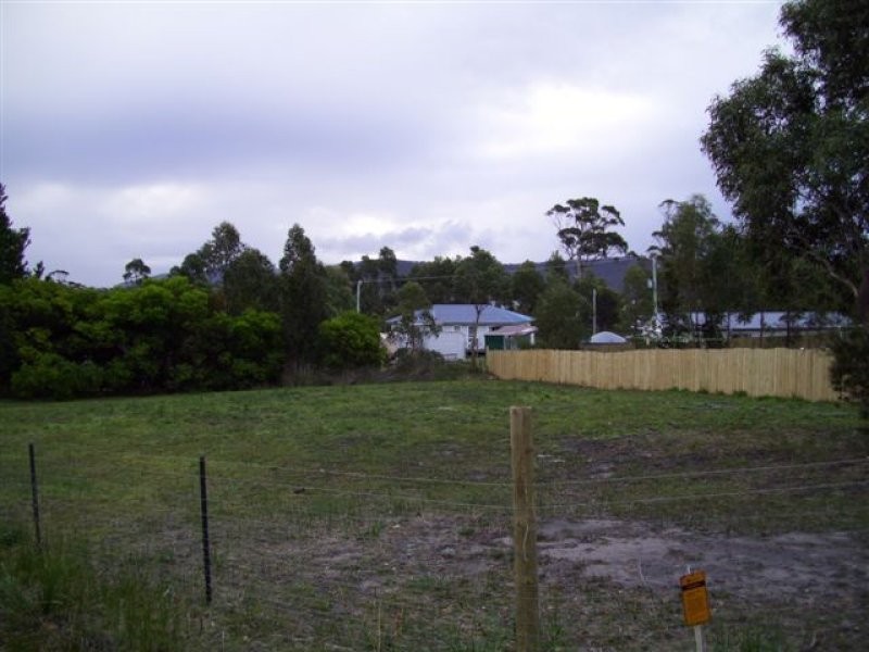 46 Skeggs Avenue, White Beach TAS 7184