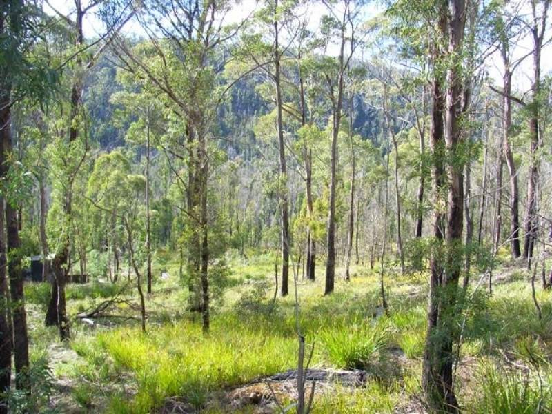 1142 Kellevie Road, Kellevie TAS 7176