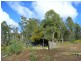 1142 Kellevie Road, Kellevie TAS 7176