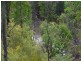 1142 Kellevie Road, Kellevie TAS 7176