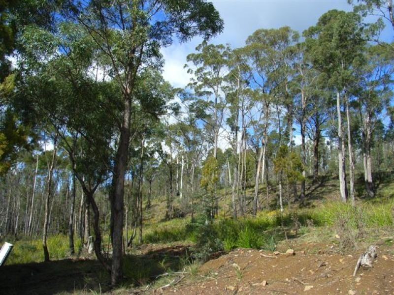 1142 Kellevie Road, Kellevie TAS 7176