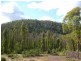 1142 Kellevie Road, Kellevie TAS 7176