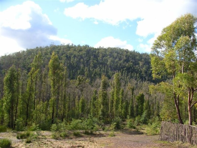 1142 Kellevie Road, Kellevie TAS 7176