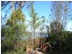 236 Bay Road, Boomer Bay TAS 7177