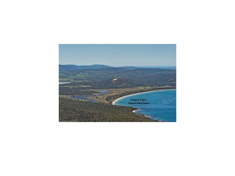 9 Sloping Main Drive, Sloping Main TAS 7186