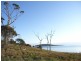 White Beach Road, White Beach TAS 7184