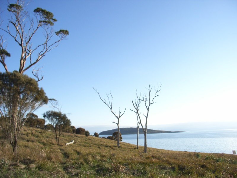 White Beach Road, White Beach TAS 7184