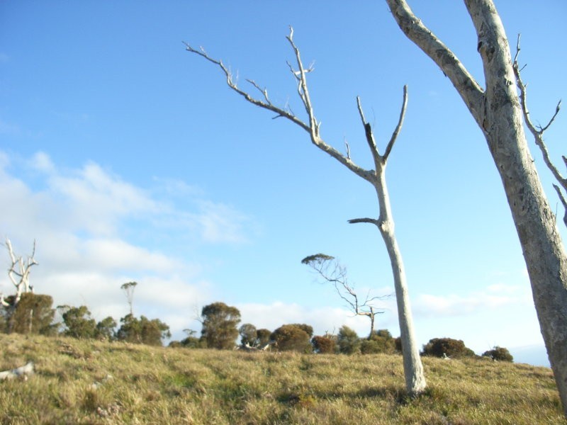 White Beach Road, White Beach TAS 7184