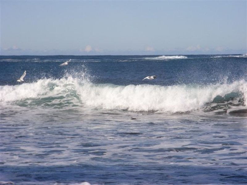 443 Pirates Bay Drive, Eaglehawk Neck TAS 7179