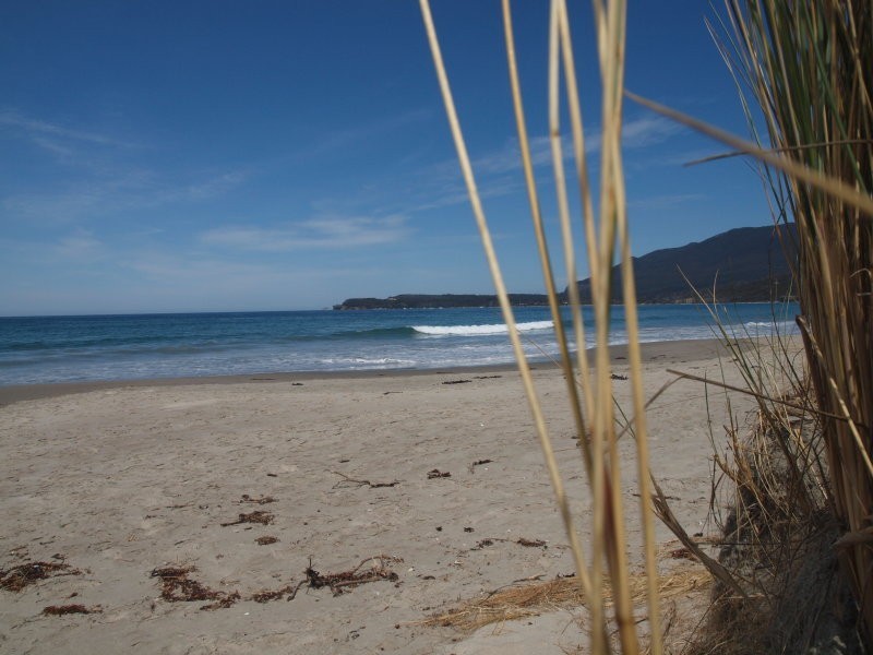 443 Pirates Bay Drive, Eaglehawk Neck TAS 7179