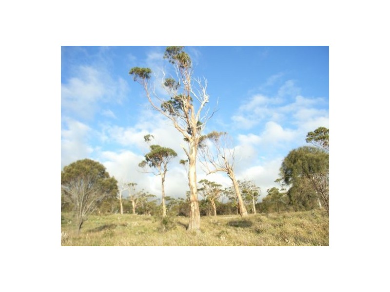 White Beach TAS 7184