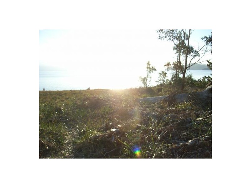 White Beach TAS 7184