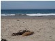 Eaglehawk Neck TAS 7179
