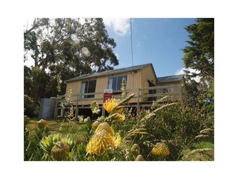 White Beach TAS 7184