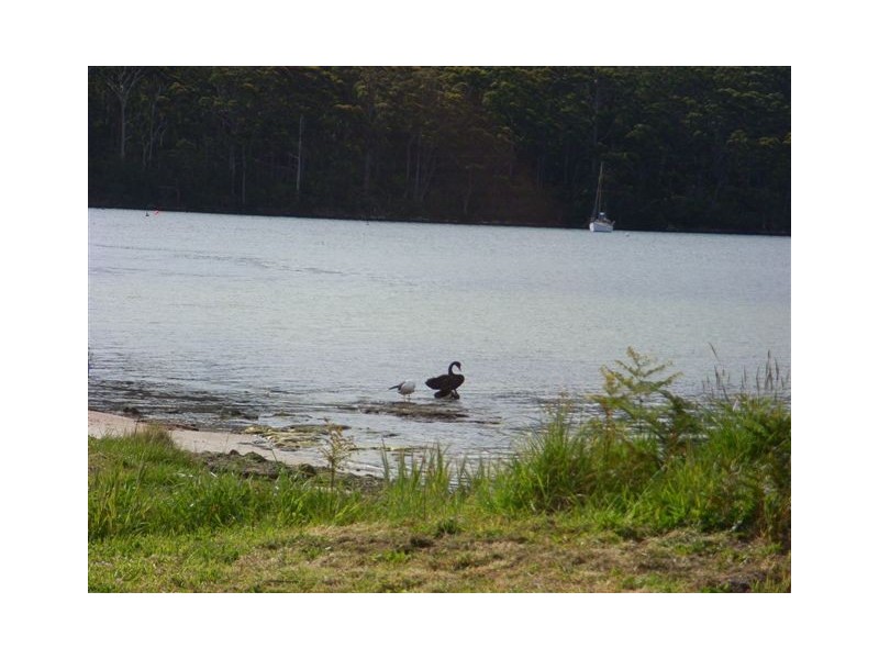 Port Arthur TAS 7182