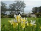 4 Bayview Road, Taranna TAS 7180