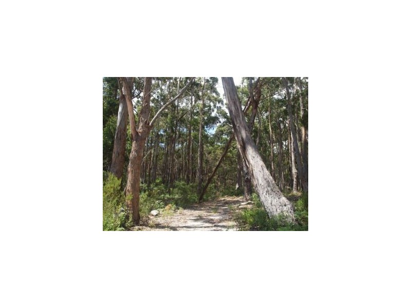 Eaglehawk Neck TAS 7179