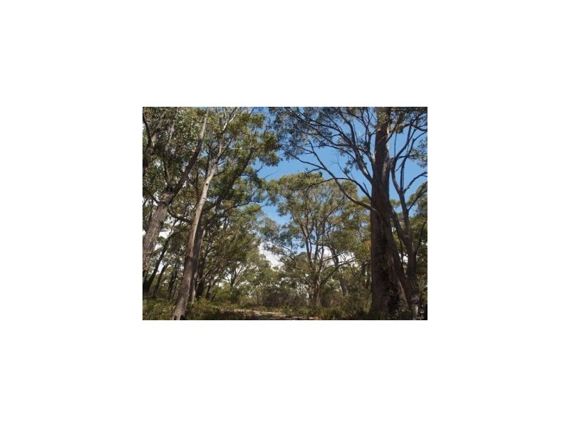 Eaglehawk Neck TAS 7179