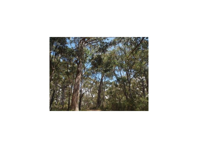 Eaglehawk Neck TAS 7179